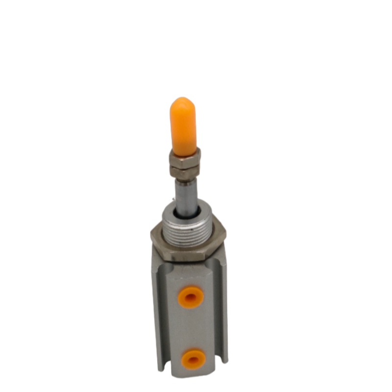 Needle Piston  EUP6X10-S-ZD